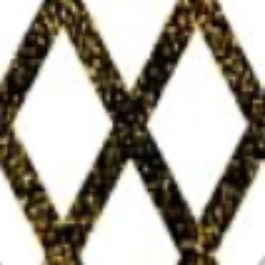 Buttercup Lurex Fishnet Tights